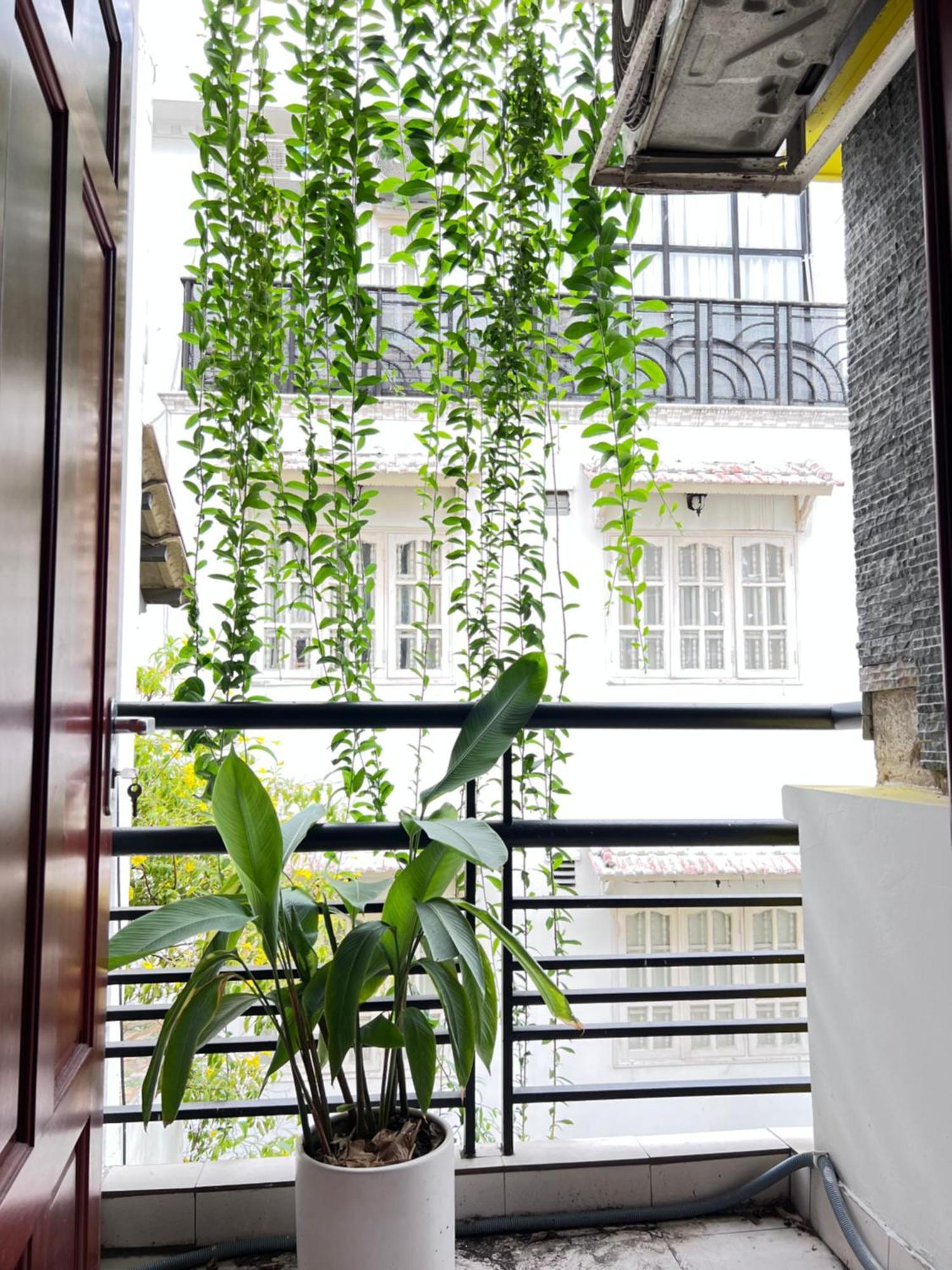 Co Homestay Saigon Hô Chi Minh-Ville Extérieur photo